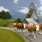 Schrunerhof Ebene Reichenau