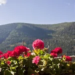 Schrunerhof شقة