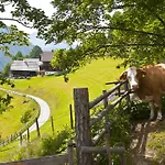 Schrunerhof Ebene Reichenau