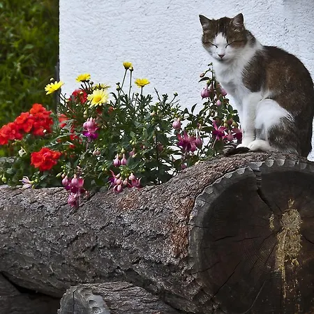 Schrunerhof *