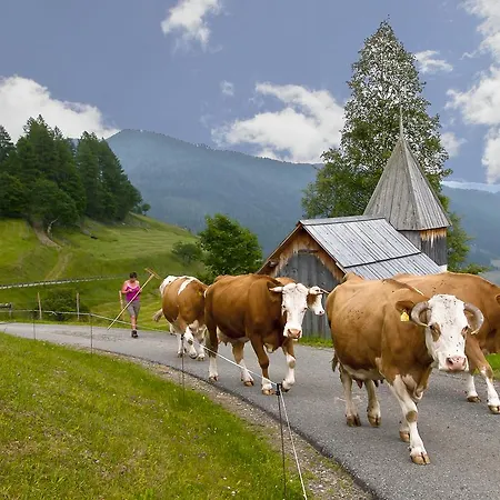 Schrunerhof Ebene Reichenau