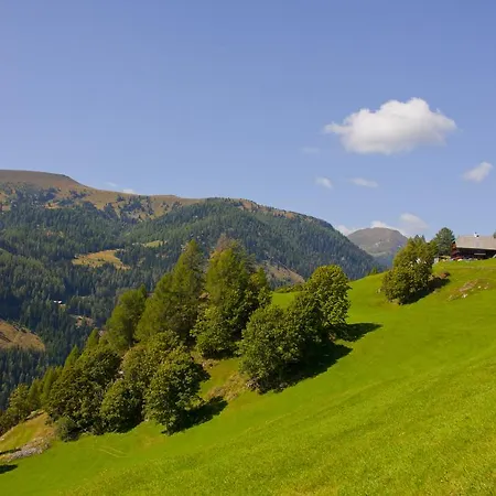 Apartamento Schrunerhof