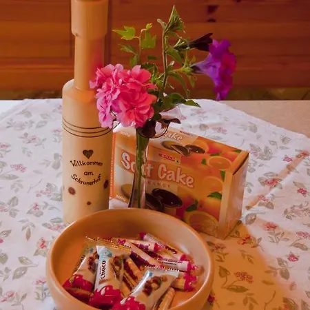 Schrunerhof Daire Ebene Reichenau