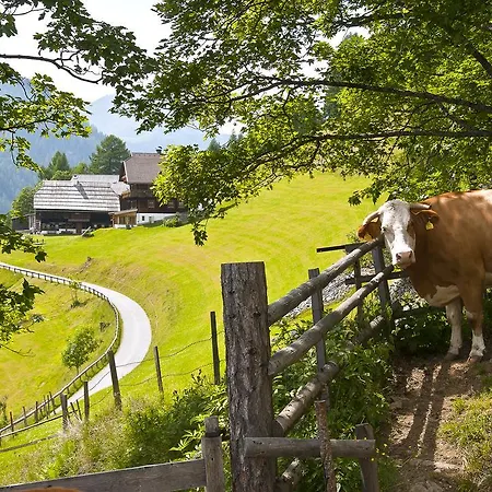 Schrunerhof Ebene Reichenau