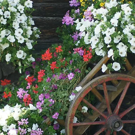 Schrunerhof * Ebene Reichenau