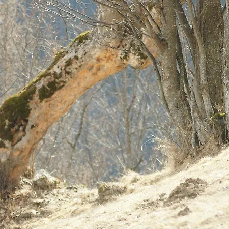 Schrunerhof * Ebene Reichenau