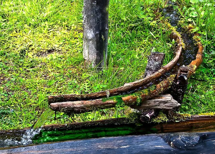 Schrunerhof Lägenhet