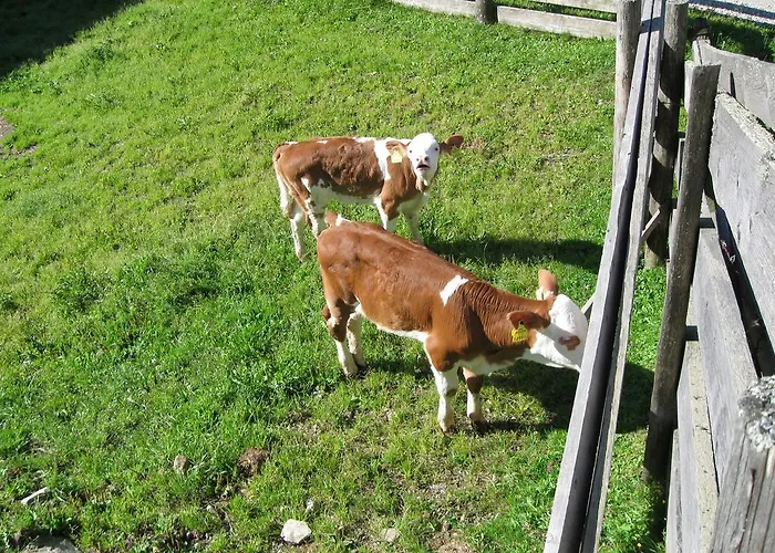 Schrunerhof Apartament *