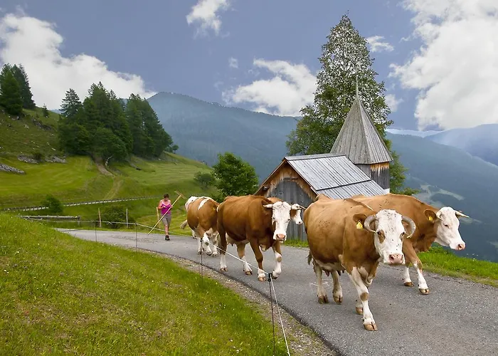 Schrunerhof Ebene Reichenau