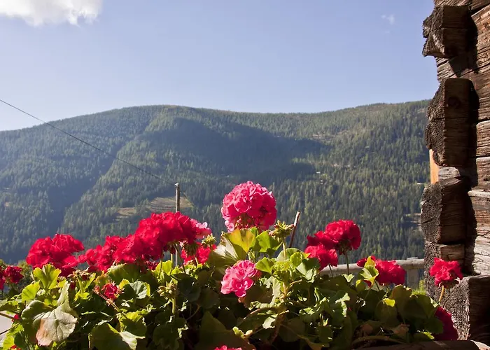 Schrunerhof Lägenhet