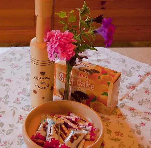 Schrunerhof Lägenhet Ebene Reichenau