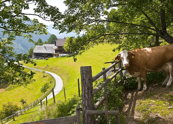 Schrunerhof Ebene Reichenau