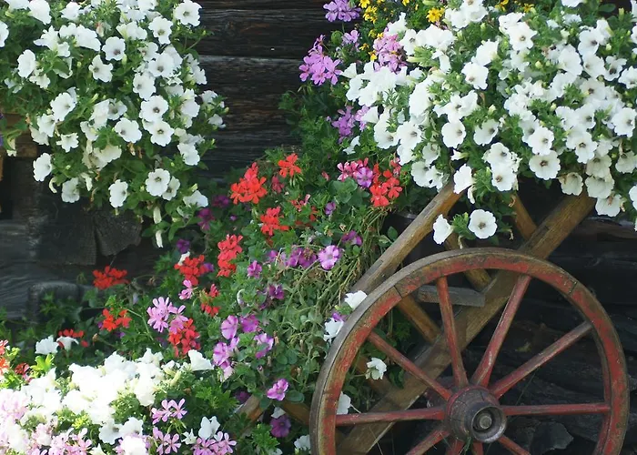 Schrunerhof * Ebene Reichenau