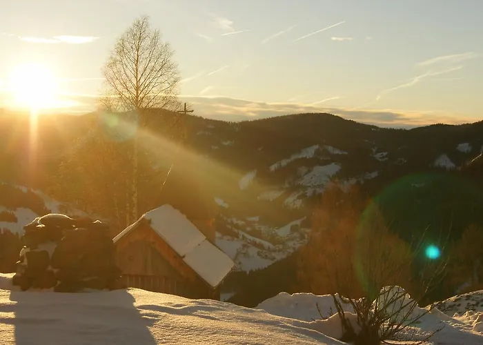 Schrunerhof Lägenhet